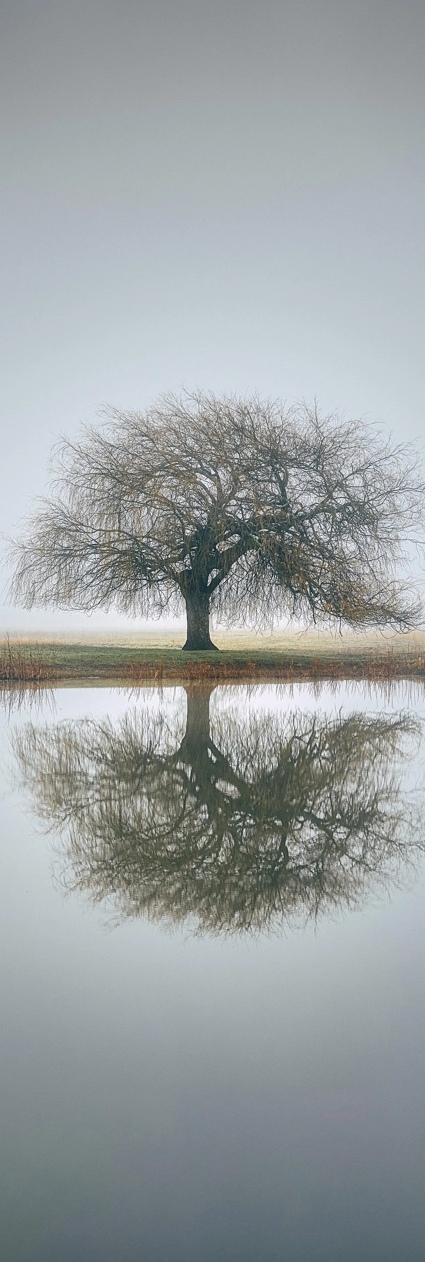 Eye Movement Desensitisation and Reprocessing (EMDR) therapy at St Giles Therapy Practice