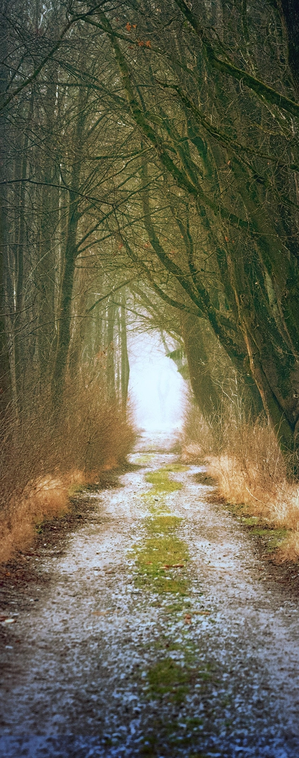 Interpersonal Psychotherapy (IPT) at St Giles Therapy Practice